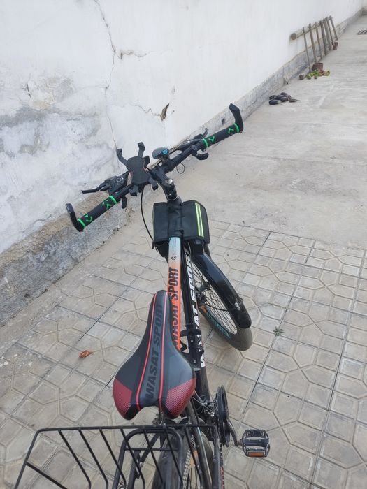 Velasaped velik skarasnoy