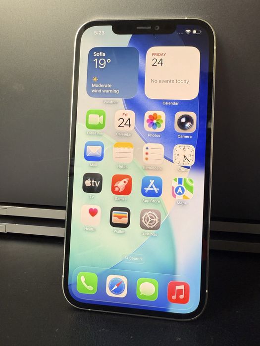 iPhone 12 Pro Max 256GB