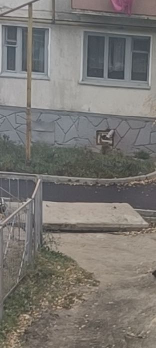 Разное разное вещи