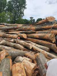 Transport lemne de foc și cuburi de fag