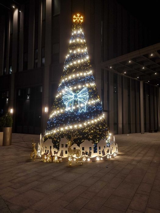 Ёлка Новогодняя  Президентская Prizident Archasi Yangi yil uchun