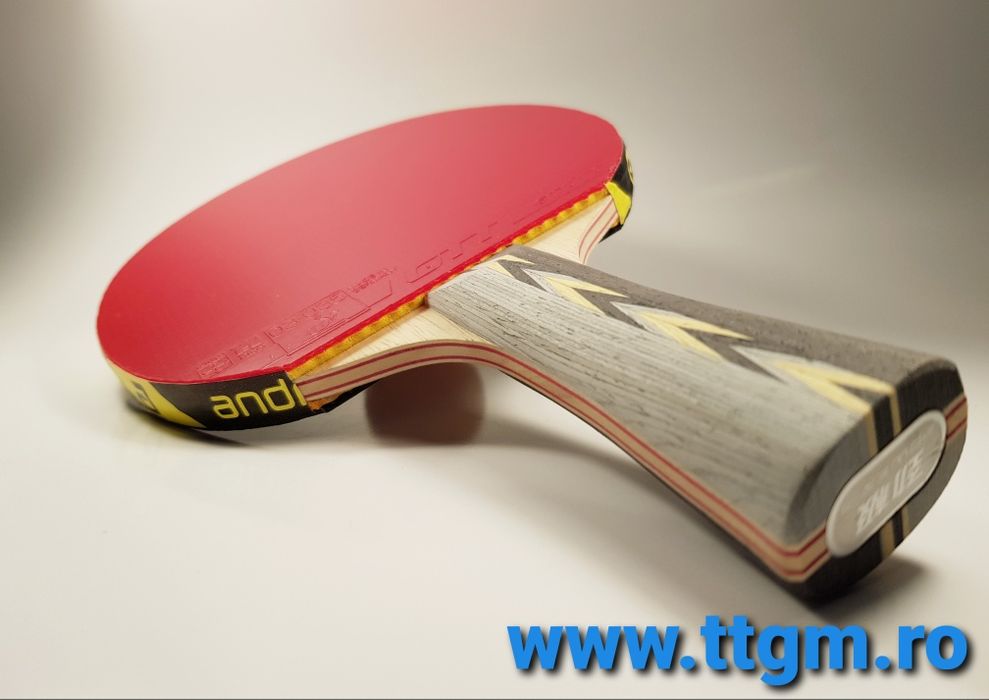 Paleta tenis de masa profesionala (ping pong) | dhs power G7/gtt45
