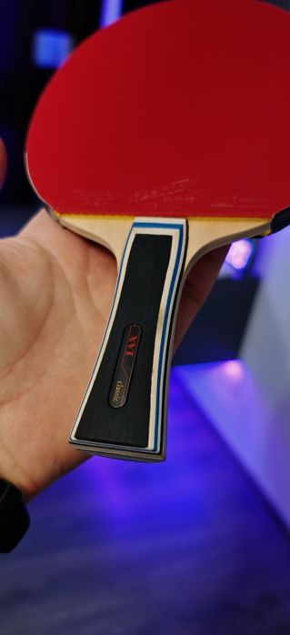 Paleta ping pong (tenis de masa)