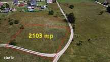 Teren 2,103mp Lepsa / Strada Zimbrului