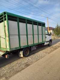 Servicii transport autorizat animale vii (vaci cai vitei oi tauri)