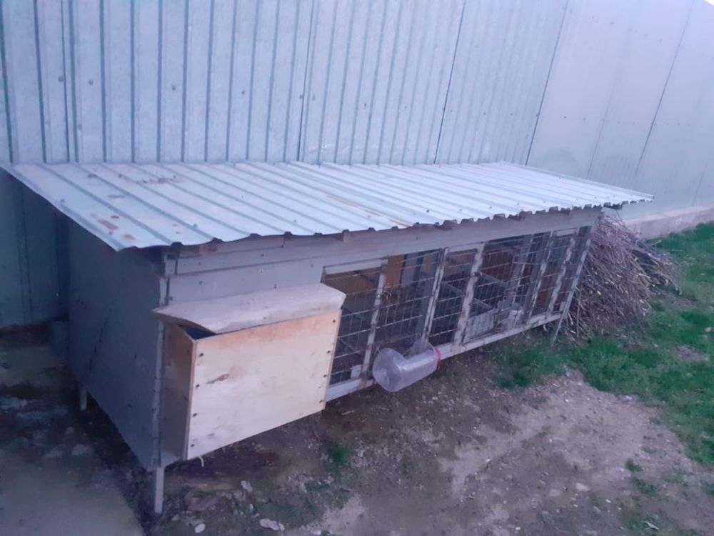 продается клетка для кролика