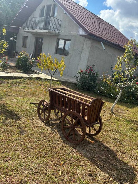 Car Decorativ pentru gradina