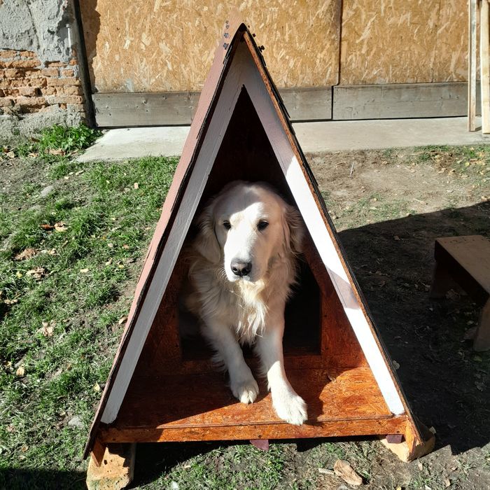 Cușcă câine talie medie sau mare