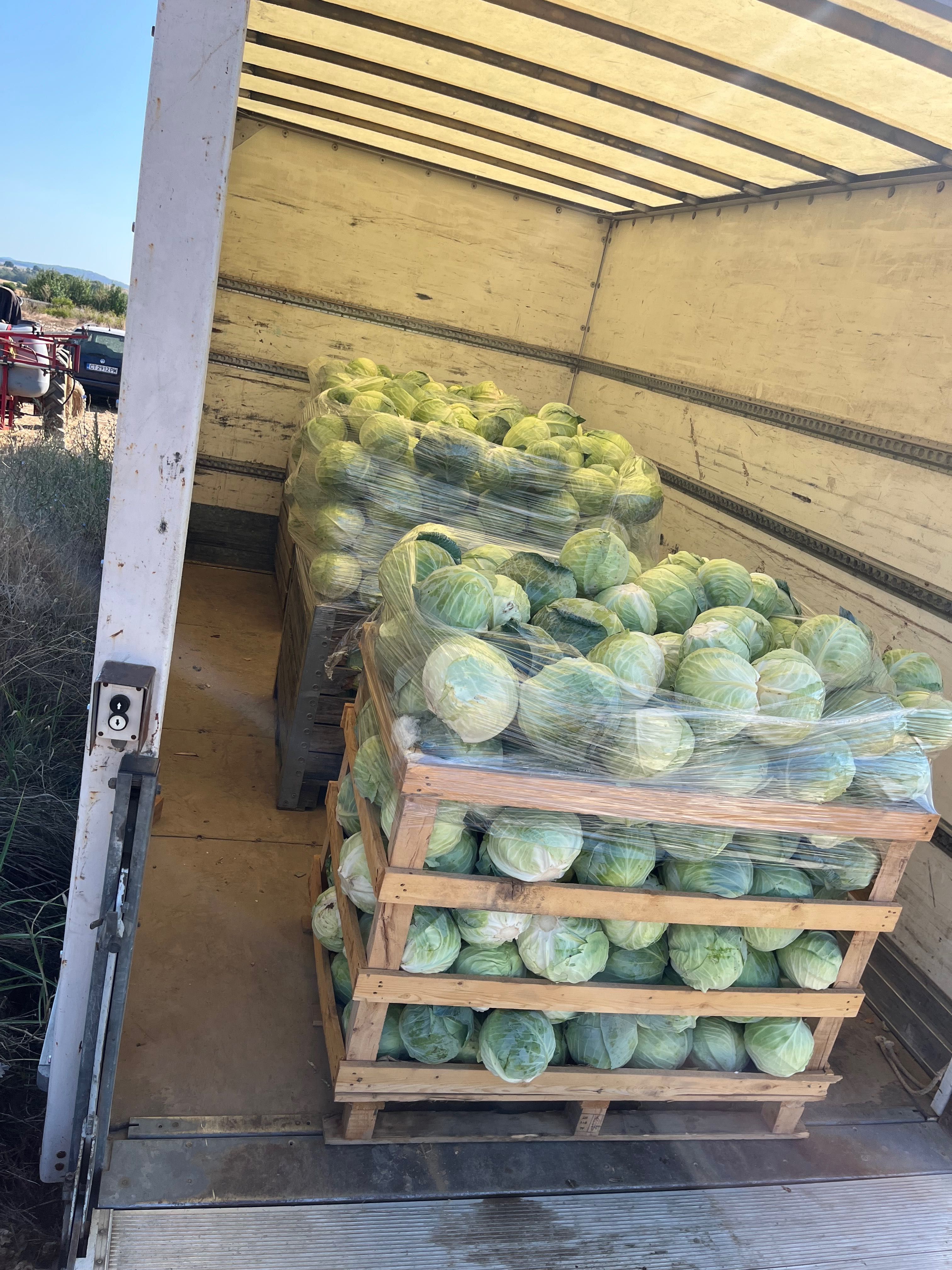 Продавам Зеле Чиарс