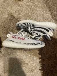 Yeezy White Zebra