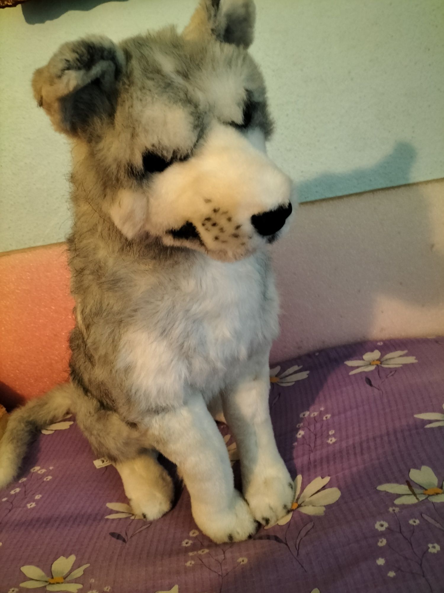 Lup câine mare realist pluș