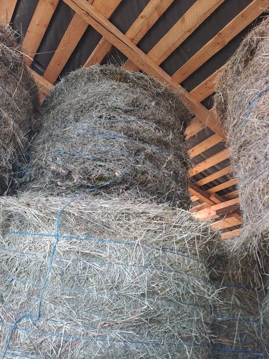 Baloti de fan ,coceni si paie