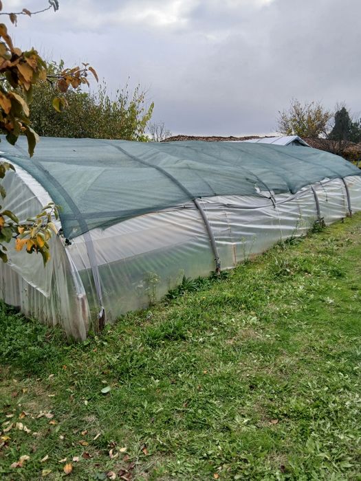 Оранжерия 10 мдълж