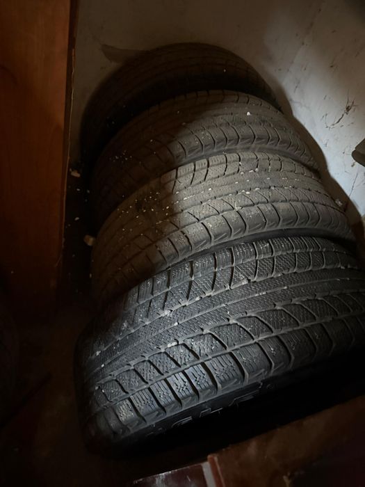 Triangle зимние шины