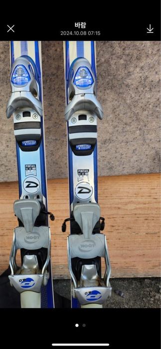 Лыжи горные французские