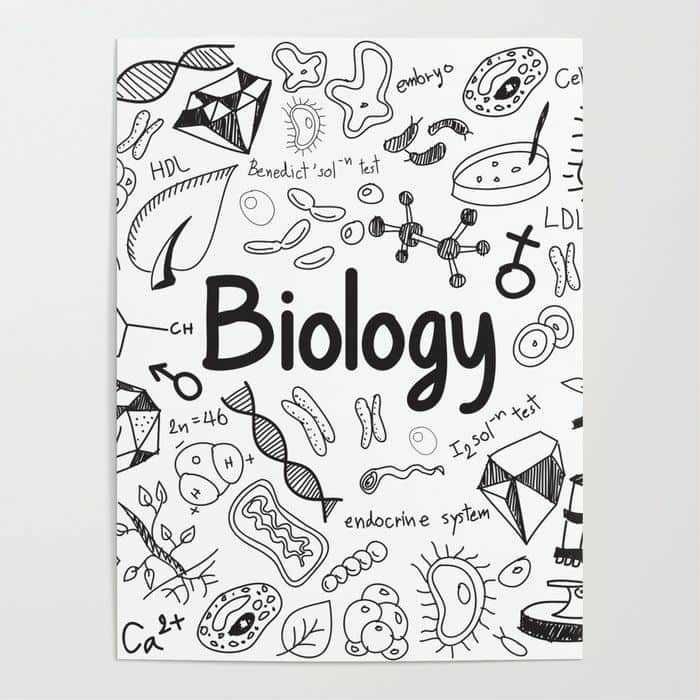 Meditatii/Pregatire la biologie