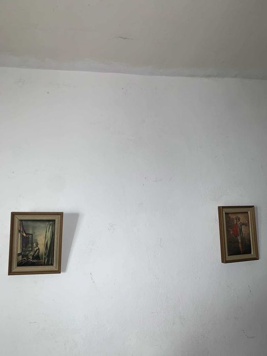 Tablou pictura pe matasa
