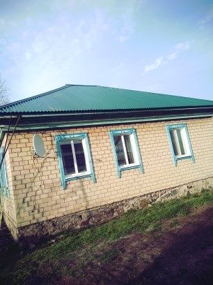 Крыши.Обшивка домов. Заборы.