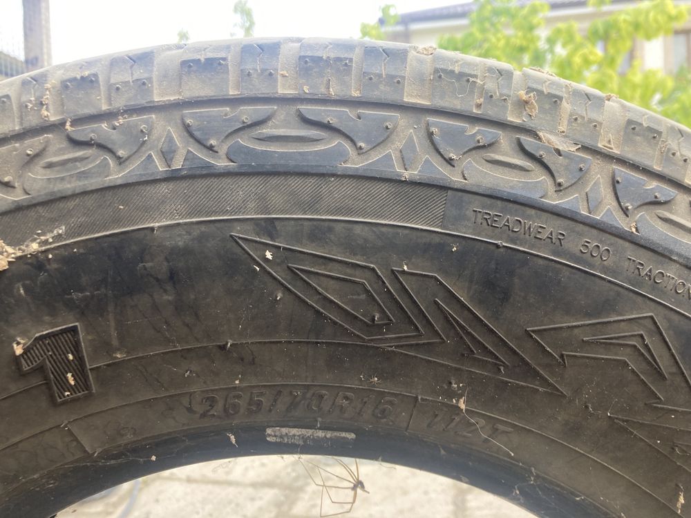 покрышки Maxxis