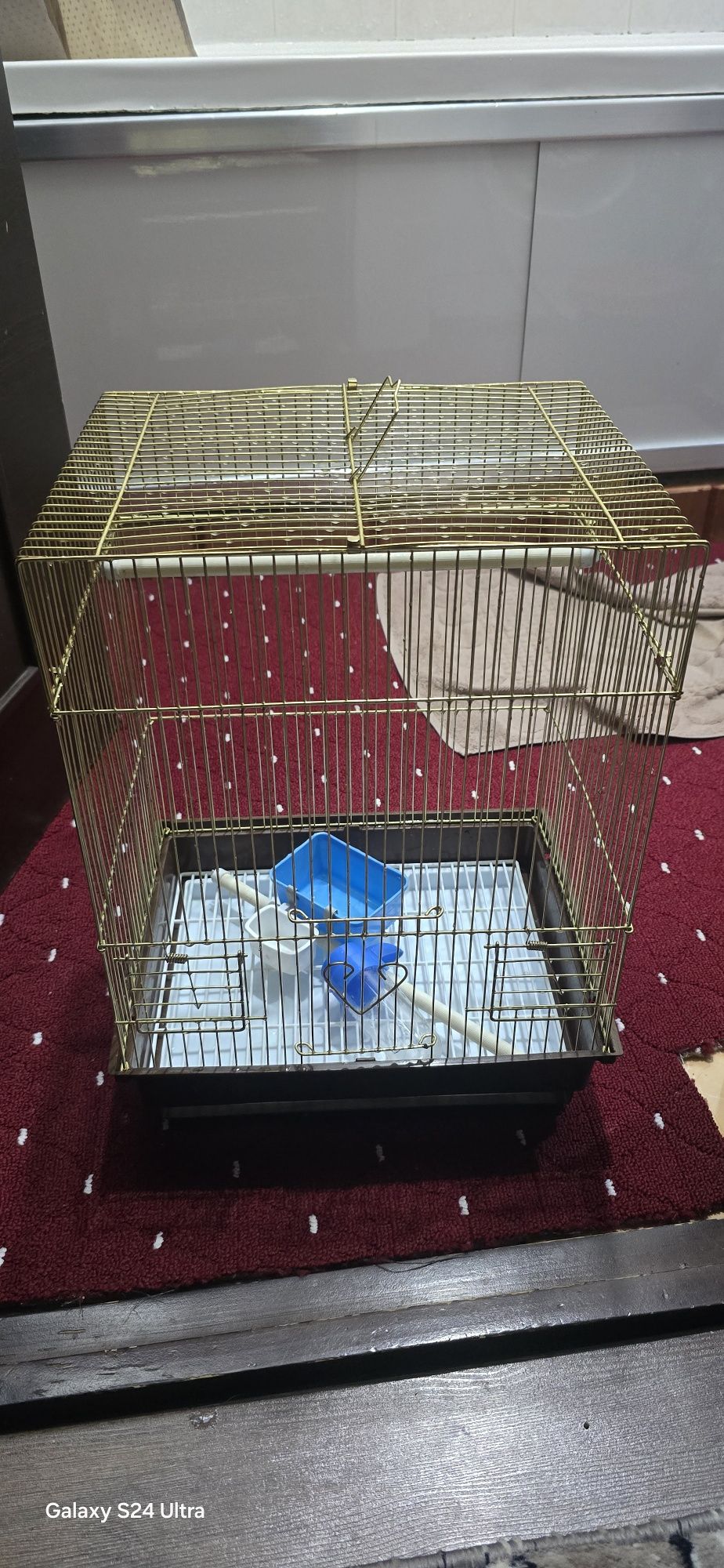 Продаются канарейки