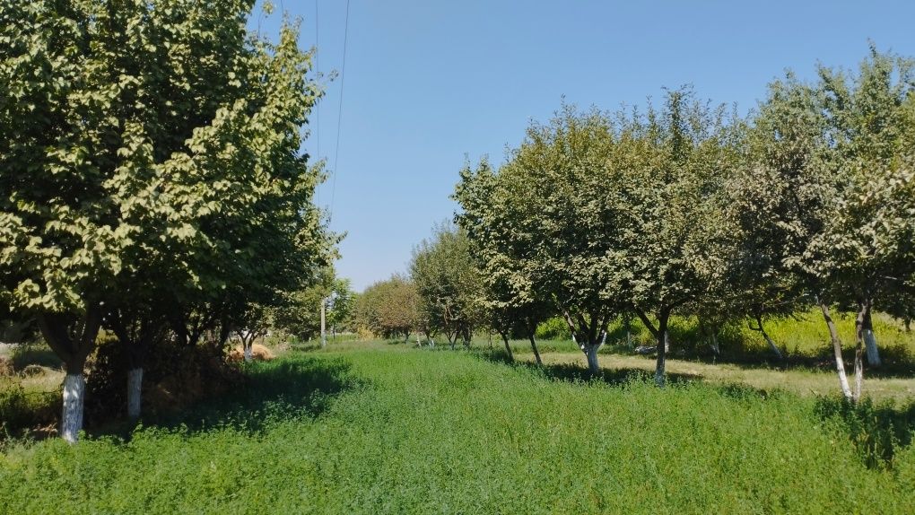 Hovli uy sotiladi