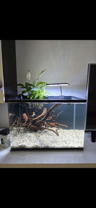 Acvariu 60 litri