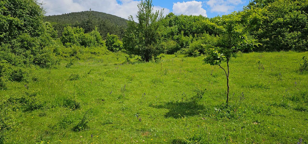Продава се Парцел в Перник, Изток - 11803 кв.м за 16 €/кв.м - Снимка #3