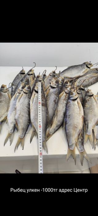 Рыбец вяленый продаю