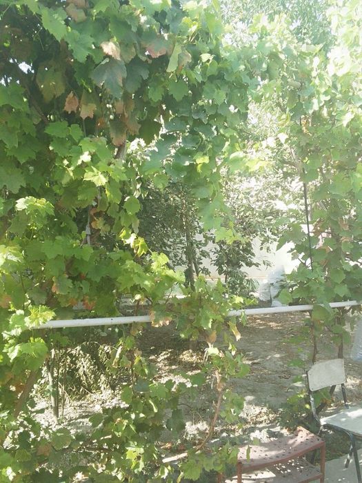Саёхатда 3 хонали котеж срочни сотилади