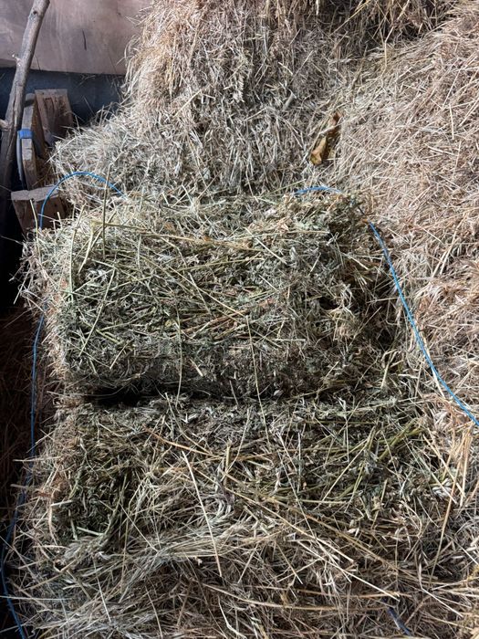 Baloti fan amestecat cu lucernă