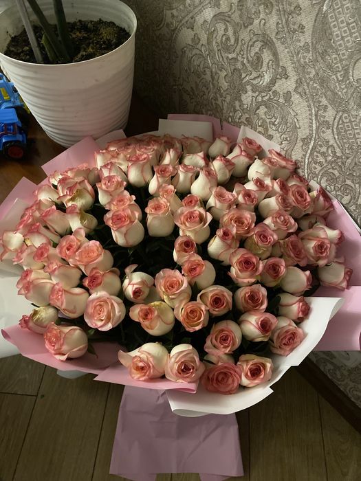 Роза  раушан гул цветы