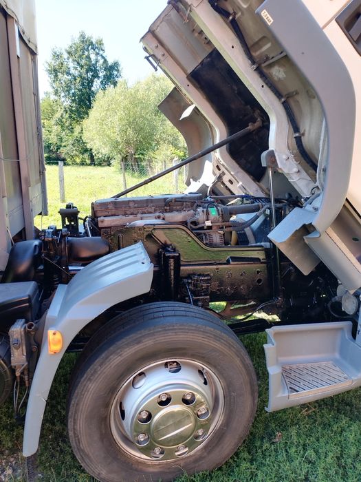 DAF LF 55-250 CP-15 tone