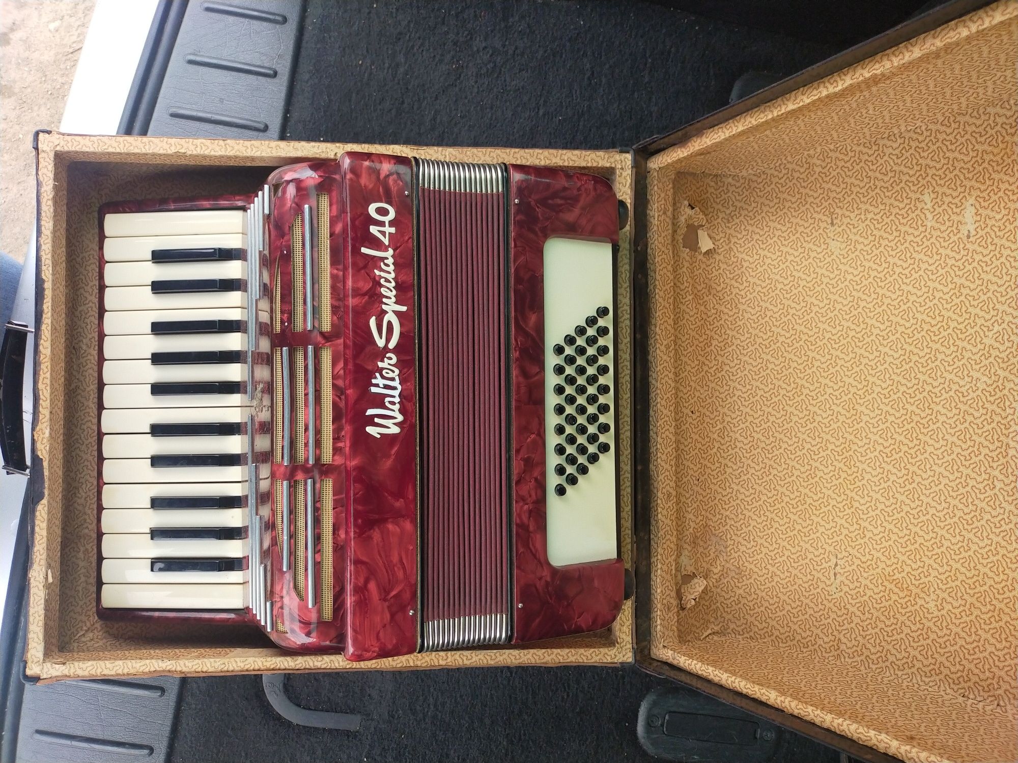 Vand acordeon weltmeister