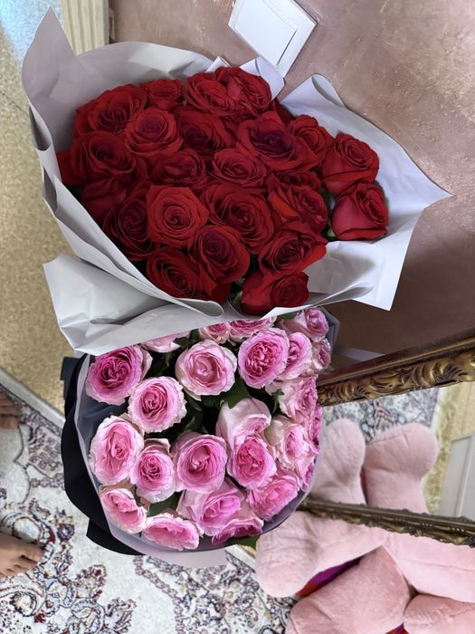 Розы красивые голаднские