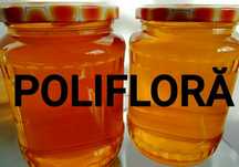 Miere polifloră  100% naturală și familii de albine