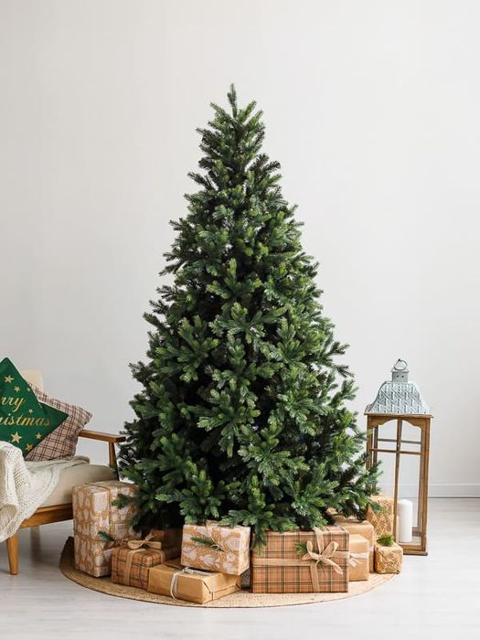 Искусивенные ели