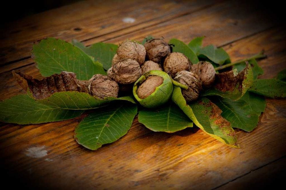 Nuci in Coaja - de vanzare