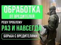 Дезинфекция Уничтожение тараканов, крыс и мышей | dezinfeksiya