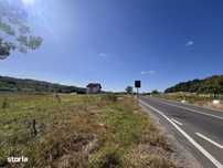 Teren de vanzare dublu front unul direct DN79 Baile Felix zona USA Oil