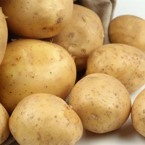 Продам катошку большими партиями минимум одна фура