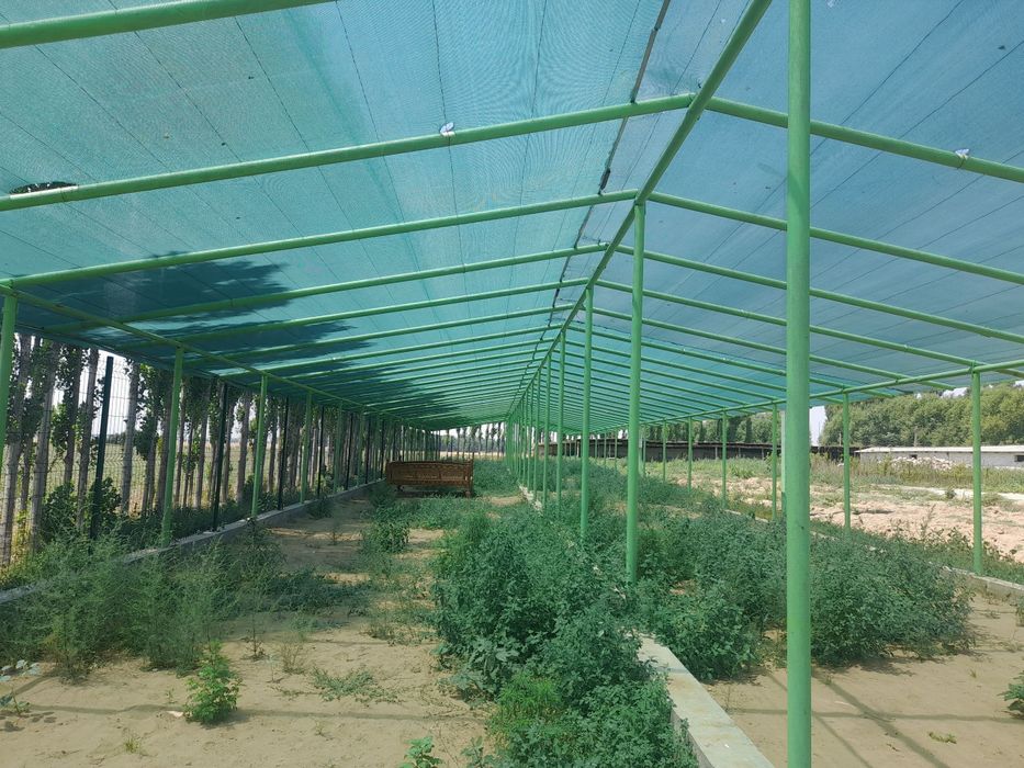 Мол ферма сотилади