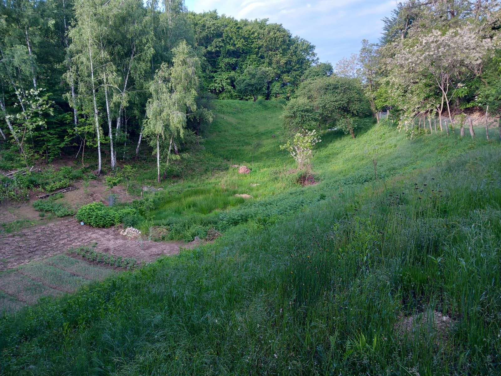 Teren zona Vladesti, sat Fundatura