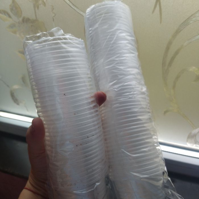 Одноразовые стаканчики 50мл