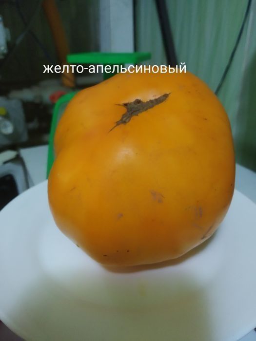 Продаются семена томатов  разных сортов : розовых жёлтых,красных