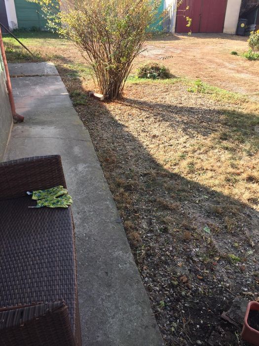 Casa la curte in Arad Centru-Intim