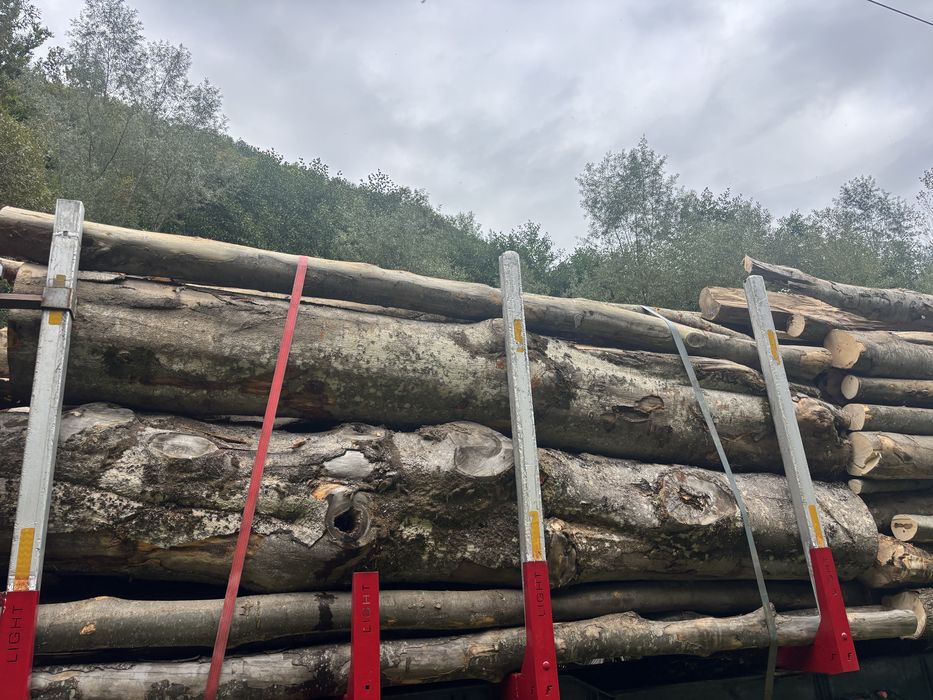 Lemn de foc bustean sau spart