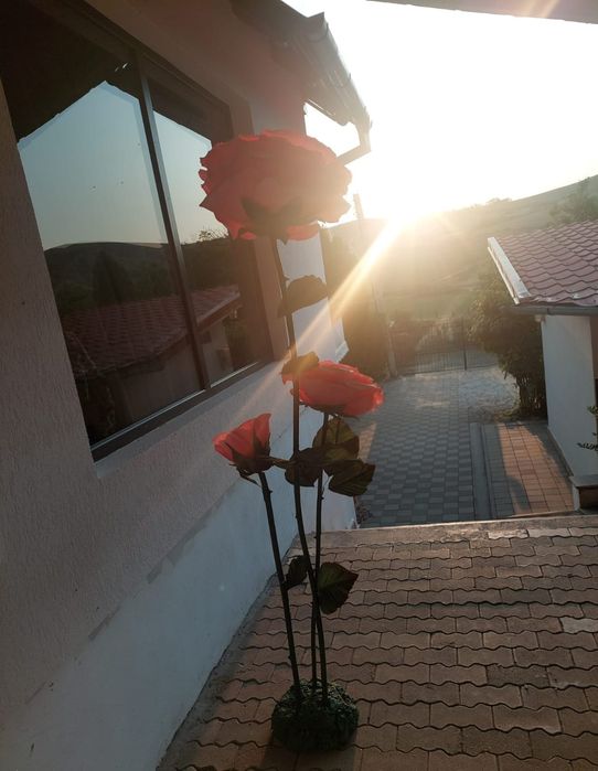 Flori uriașe din hartie creponata/ arcada florala pentru evenimente