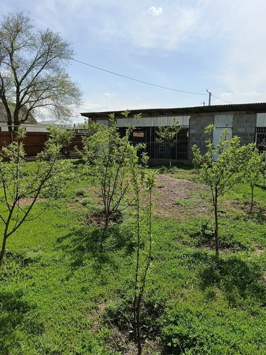 Дом жамбыл савхоз