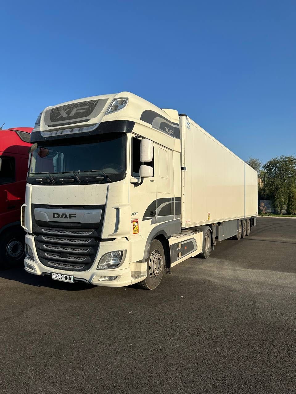 DAF XF EURO 6 + SCHMITZ REF прицеп cотилади