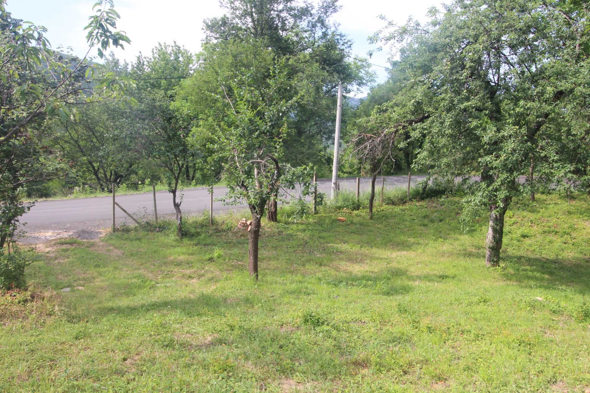 Парцел в регулация в с. Трънето, общ. Габрово